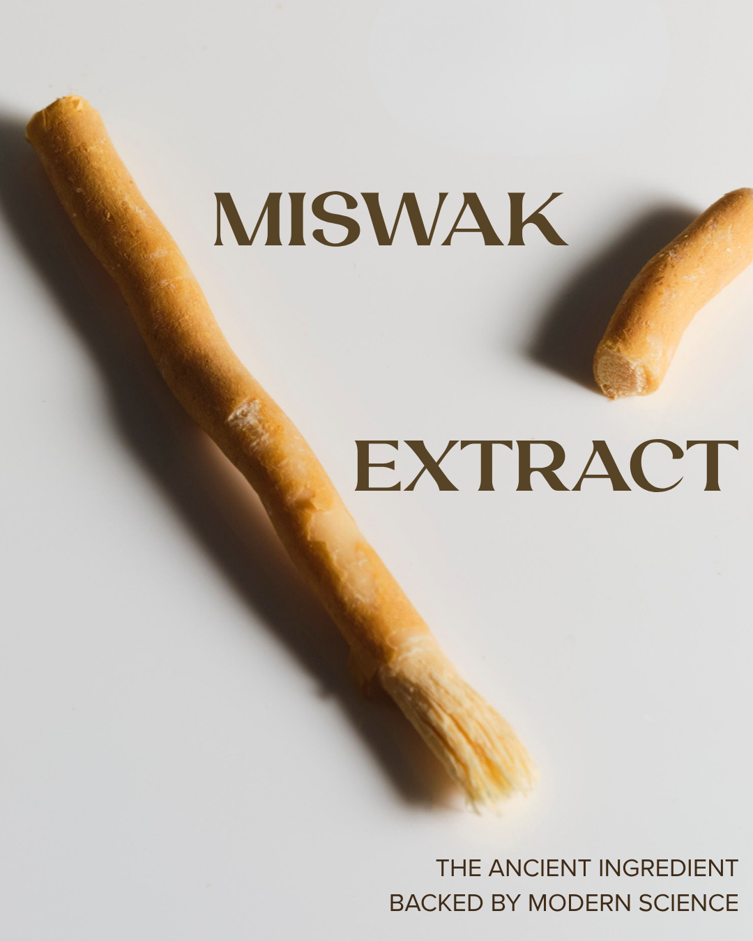 Miswak: Ancient Ritual, Modern Application